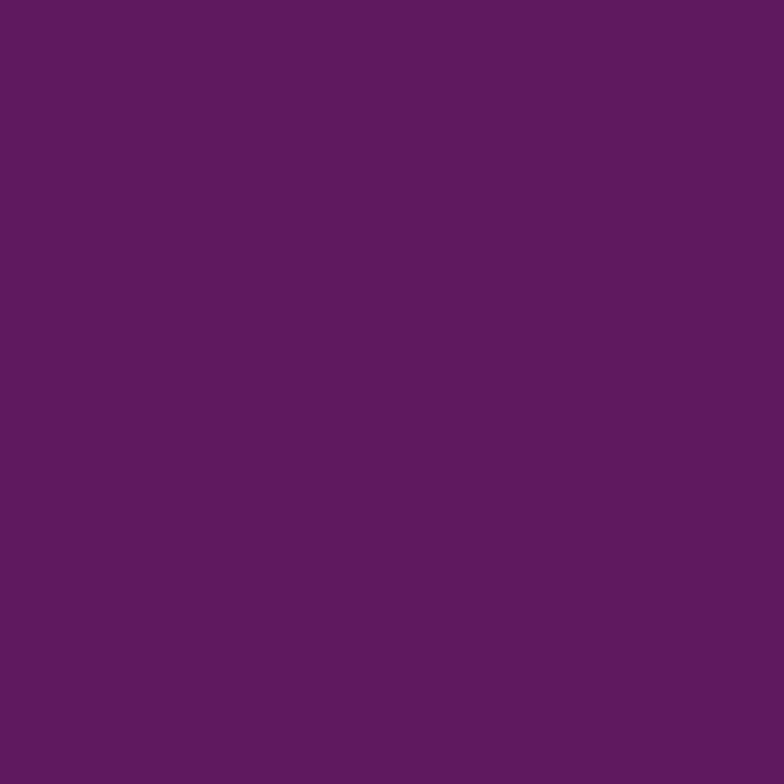 Purple label - Women's Juliet V-Neck Top [1]