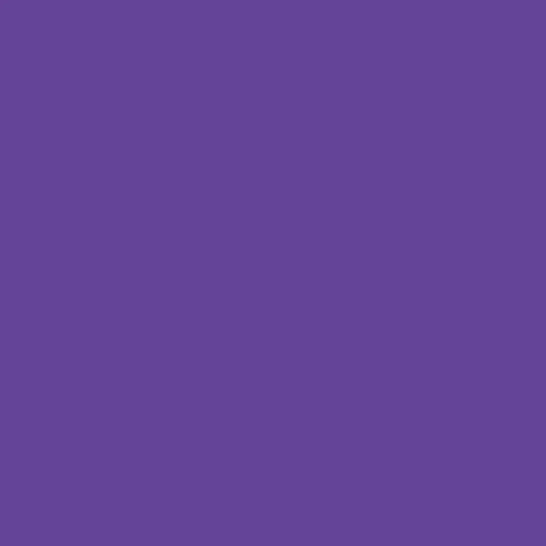Purple label - Women's Juliet V-Neck Top [1]