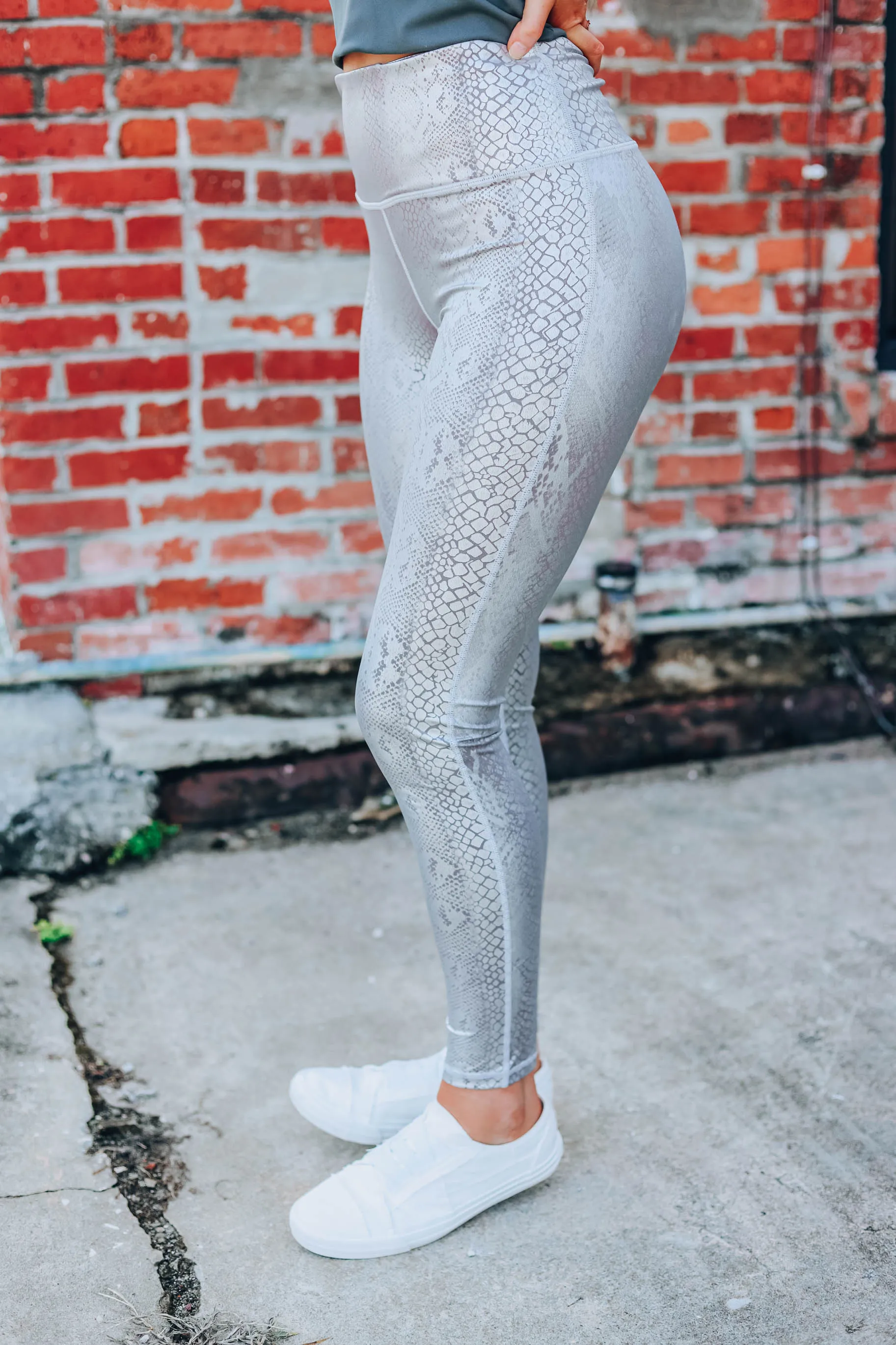Silver Streak Snakeskin Leggings S-3X